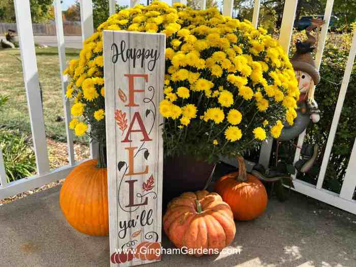 Fall decor outdoor ideas