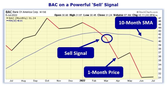 Bac tradingview nyse