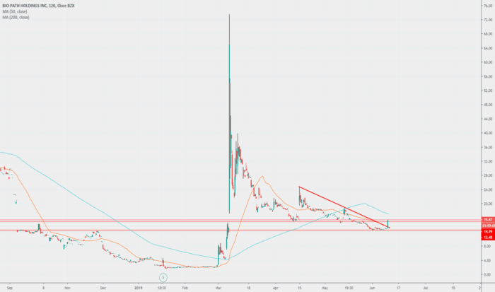 Bpth stock price